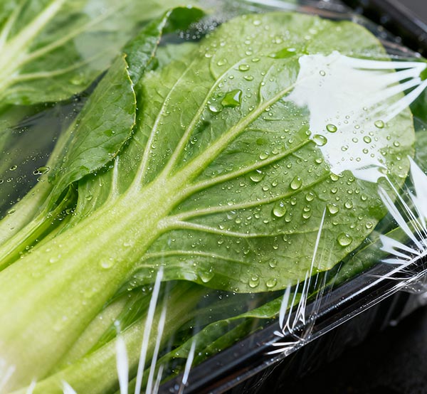 Ekologiczny recykling staje się głównym nurtem, a folia termokurczliwa Donghui napędza transformację branży opakowaniowej dzięki technologii przyjaznej dla środowiska.